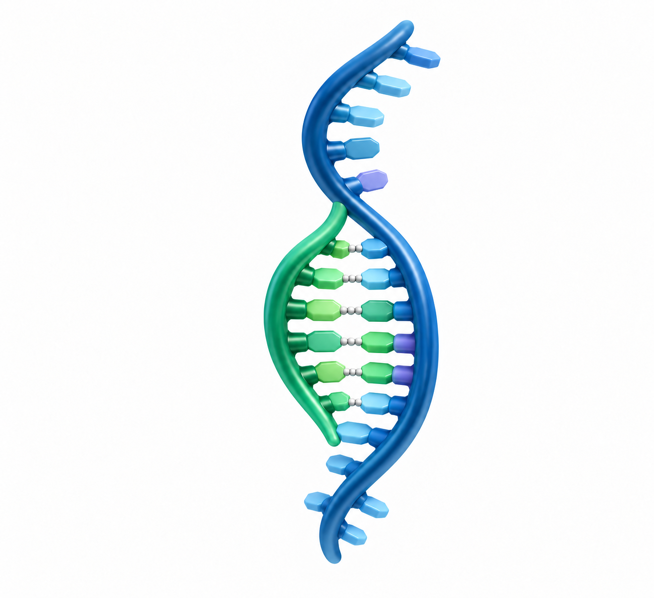 Illustration of an antisense oligonucleotide binding to its RNA target