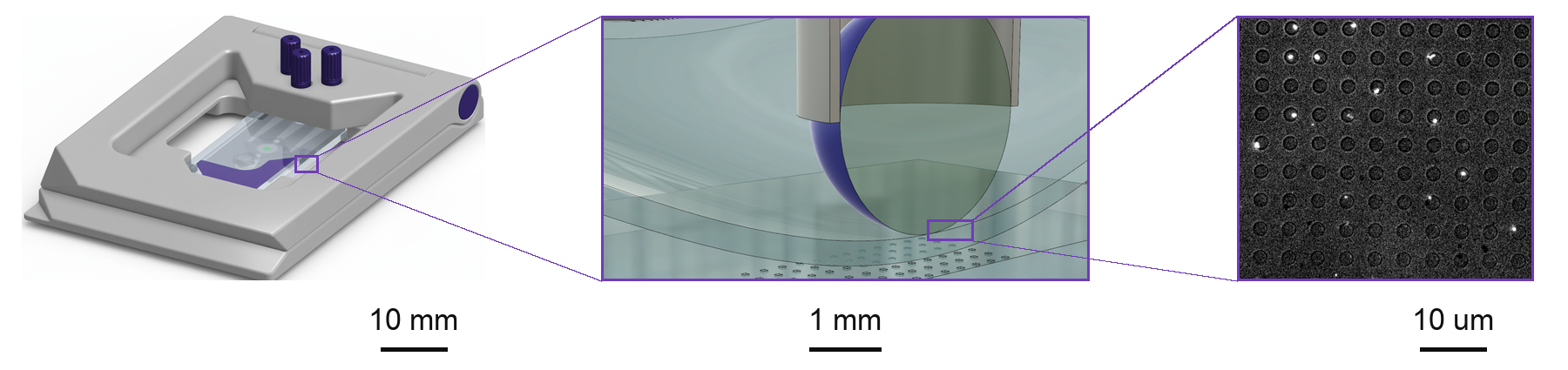 CLiC consumable, confinement mechanism, and microwell array