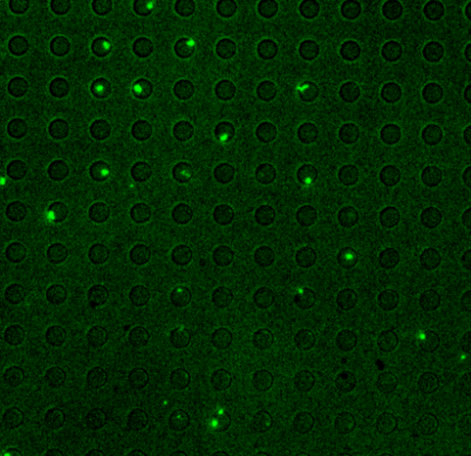 CLiC Single Particle Measurements